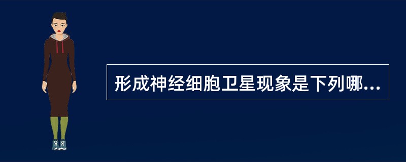 形成神经细胞卫星现象是下列哪一种细胞的增生()