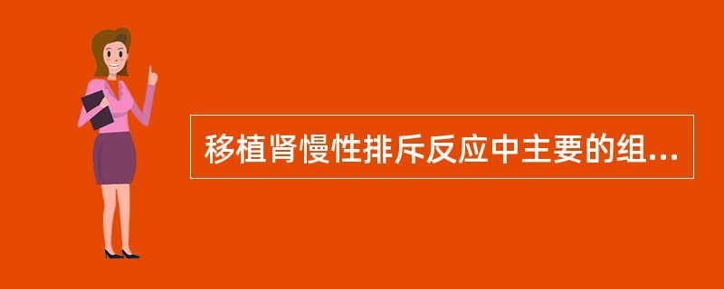 移植肾慢性排斥反应中主要的组织病理学改变是