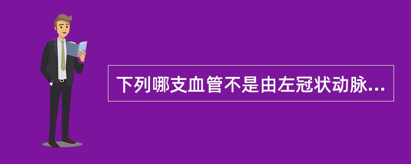 下列哪支血管不是由左冠状动脉发出的分支