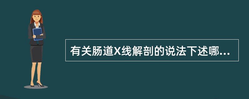 有关肠道X线解剖的说法下述哪项是错误的