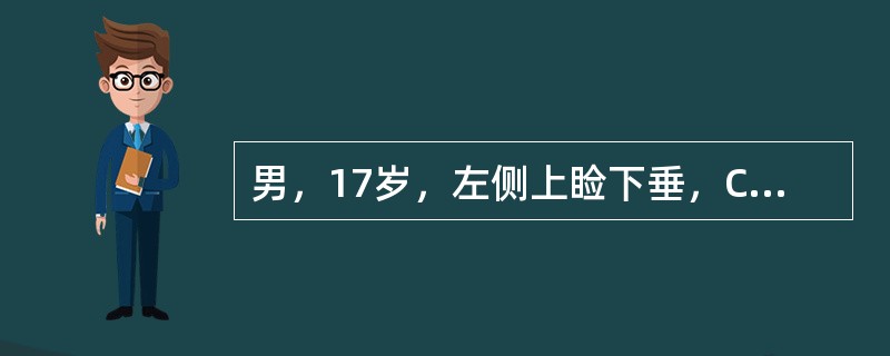 男，17岁，左侧上睑下垂，CT检查如图所示，正确的描述或诊断是()<img border="0" style="width: 410px; height: 308p