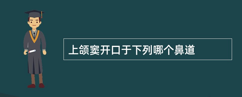 上颌窦开口于下列哪个鼻道