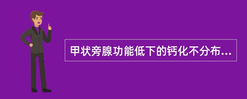 甲状旁腺功能低下的钙化不分布在()