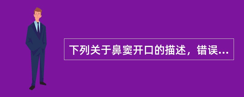 下列关于鼻窦开口的描述，错误的是