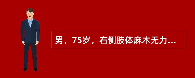 男，75岁，右侧肢体麻木无力，言语含糊，CT检查如下，最可能的诊断是<img border="0" style="width: 391px; height: 146