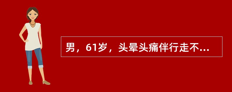 男，61岁，头晕头痛伴行走不稳1月余，根据所提供图像，最可能的诊断是()<img border="0" style="width: 223px; height: 1