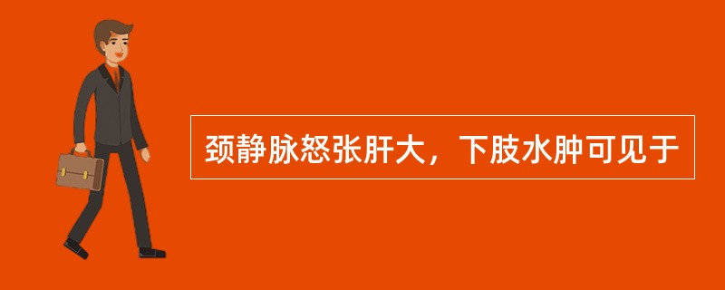 颈静脉怒张肝大，下肢水肿可见于