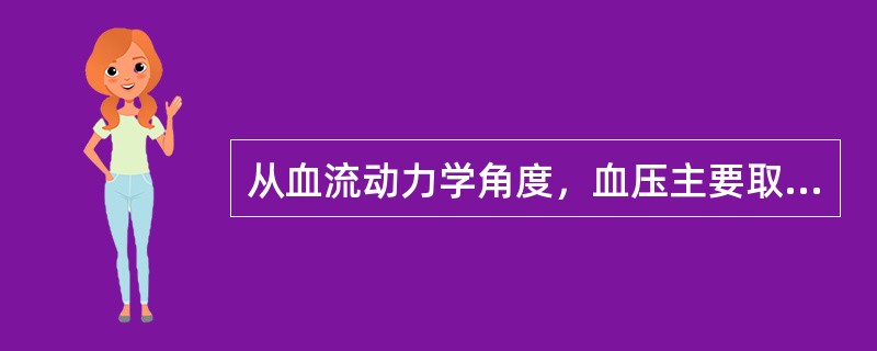 从血流动力学角度，血压主要取决于