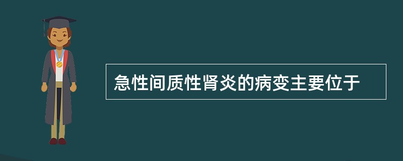 急性间质性肾炎的病变主要位于