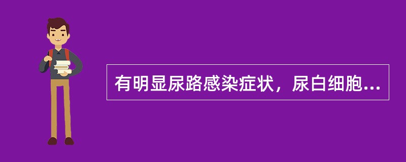 有明显尿路感染症状，尿白细胞阳性，尿细菌定量培养达到一定标准并为同一致病菌时，可拟诊为尿路感染。尿细菌定量培养应达到