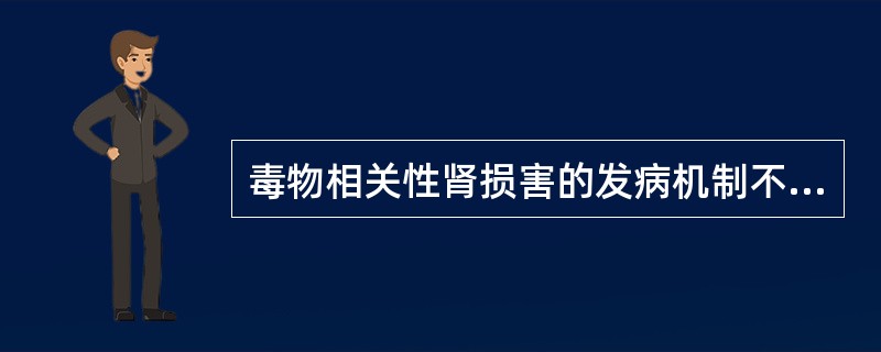 毒物相关性肾损害的发病机制不包括