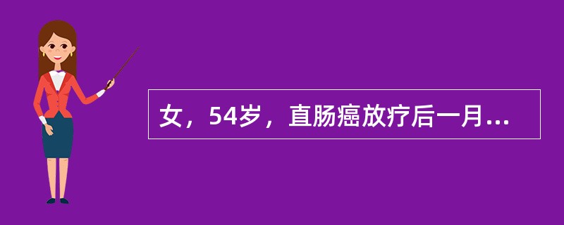 女，54岁，直肠癌放疗后一月，阵发性腹痛腹胀，呕吐应，CT表现如图，应诊断为()<img border="0" style="width: 155px; heigh