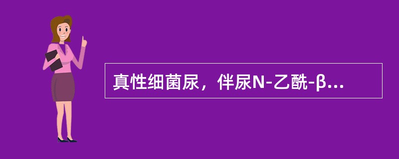 真性细菌尿，伴尿N-乙酰-β-D-氨基葡萄糖苷酶(NAG酶)和尿β<img border="0" style="width: 10px; height: 16px;