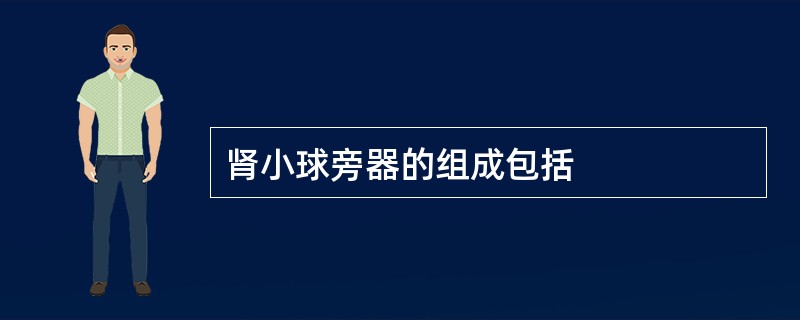 肾小球旁器的组成包括