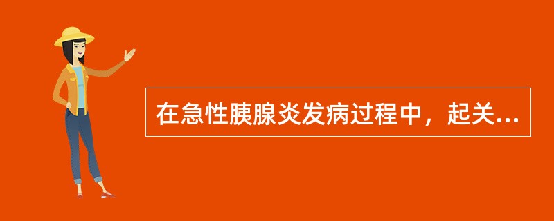 在急性胰腺炎发病过程中，起关键作用的酶是