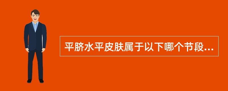 平脐水平皮肤属于以下哪个节段支配