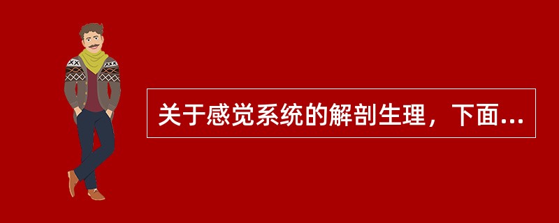 关于感觉系统的解剖生理，下面哪一项不正确