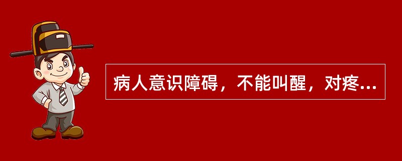 病人意识障碍，不能叫醒，对疼痛刺激有痛苦表情和防御反应，对光反射、角膜反射和吞咽反射存在、这种意识障碍是：