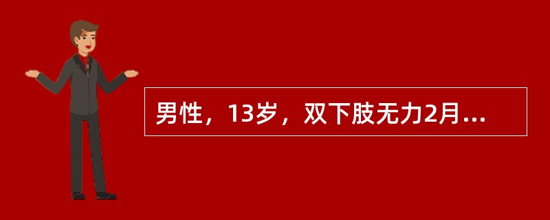 男性，13岁，双下肢无力2月，双下肢肌肉萎缩，膝反射和跟腱反射消失，无病理反射、伴尿便功能障碍、病变部位在