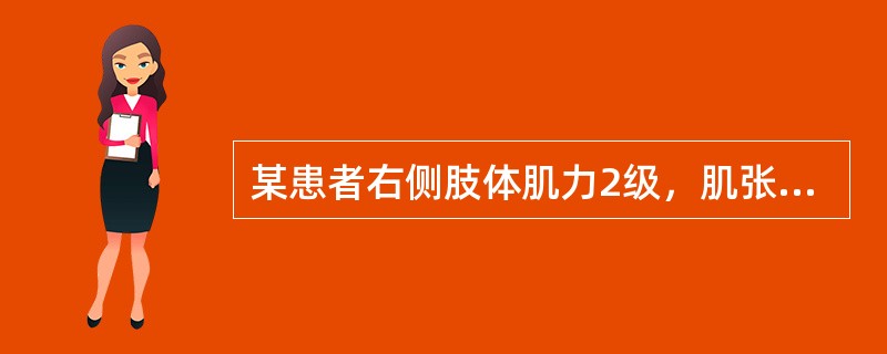 某患者右侧肢体肌力2级，肌张力增高、腱反射活跃，病理反射阳性，病变在：