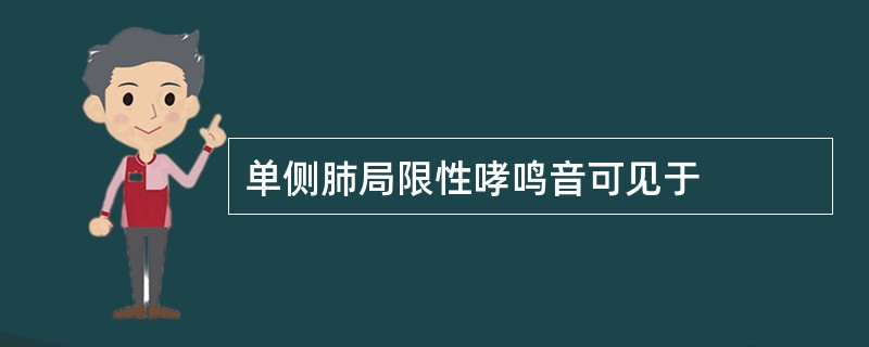 单侧肺局限性哮鸣音可见于