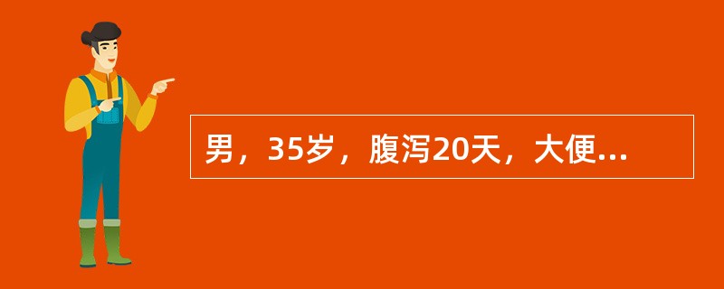 男，35岁，腹泻20天，大便5～8次/日，呈暗红糊状，有腥臭味，伴右下腹隐痛，无明显发热及里急后重感，在当地予“氟哌酸”治疗7天，无明显好转。大便常规：WBC(+)/HP，RBC(+++)/HP，发现