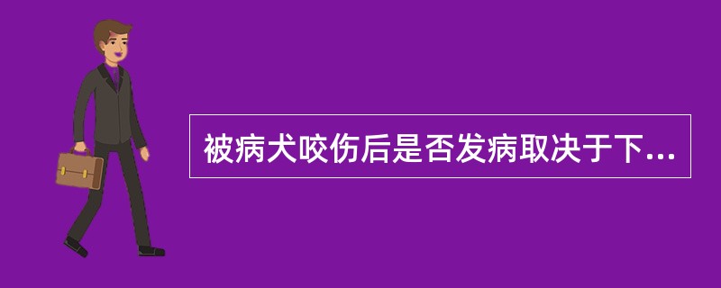 被病犬咬伤后是否发病取决于下列因素，但除外()