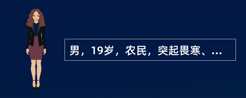 男，19岁，农民，突起畏寒、高热、头痛、全身酸痛4天入院。查体：体温39.5℃，脉搏112次/分，神志欠清，结膜充血，颈有抵抗感，左侧腹股沟可扪及一直径5cm大的淋巴结，双腓肠肌压痛特别明显，克氏征(