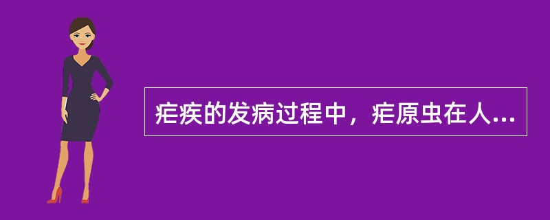 疟疾的发病过程中，疟原虫在人体内分为