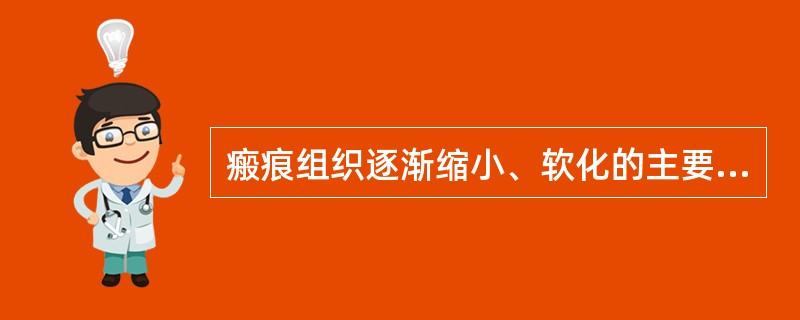 瘢痕组织逐渐缩小、软化的主要原因是()