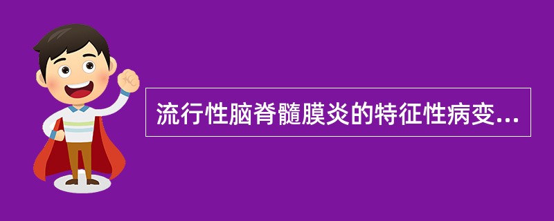 流行性脑脊髓膜炎的特征性病变是()