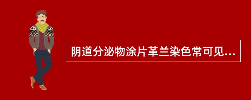 阴道分泌物涂片革兰染色常可见到的细菌有