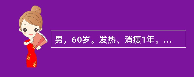 男，60岁。发热、消瘦1年。骨髓象示粒细胞系增生明显活跃，以多颗粒的异常早幼粒细胞为主，占有核细胞的38%。最可能的诊断是