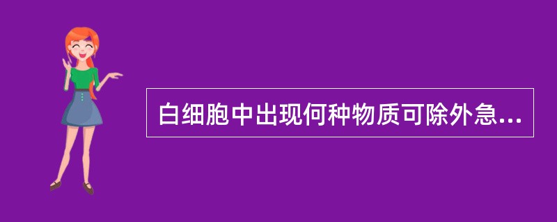 白细胞中出现何种物质可除外急性淋巴细胞白血病