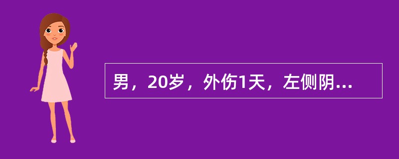 男，20岁，外伤1天，左侧阴囊肿痛，结合CT平扫图像，最可能的诊断是<img border="0" style="width: 279px; height: 711