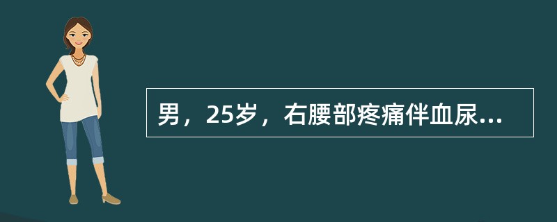 男，25岁，右腰部疼痛伴血尿，有外伤史，CT扫描如图所示，应诊断为<img border="0" style="width: 319px; height: 234p