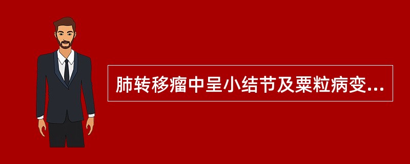 肺转移瘤中呈小结节及粟粒病变者多见于()