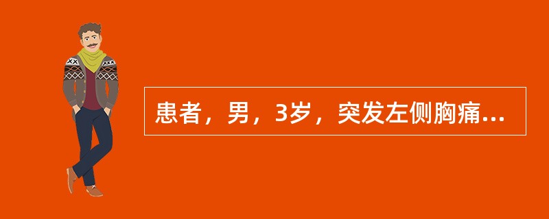 患者，男，3岁，突发左侧胸痛伴呼吸困难3小时入院，如图所示，最可能的诊断为()<img border="0" style="width: 284px; height