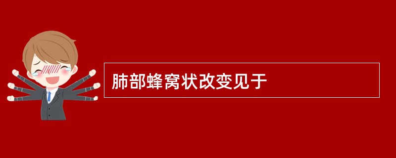 肺部蜂窝状改变见于