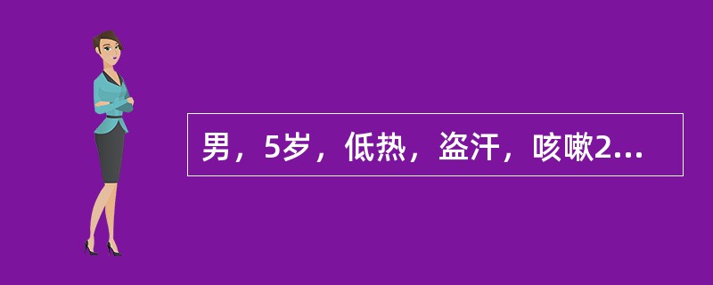 男，5岁，低热，盗汗，咳嗽2月余，结合图像，最可能的诊断是()<img border="0" style="width: 306px; height: 229px;