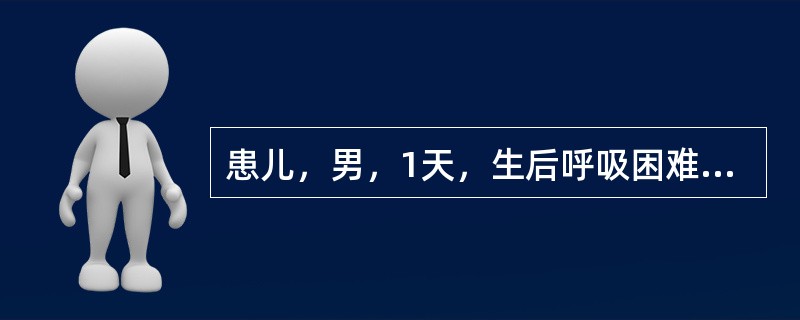 患儿，男，1天，生后呼吸困难，羊水见胎粪污染，如图，最可能的诊断为()<img border="0" style="width: 207px; height: 15