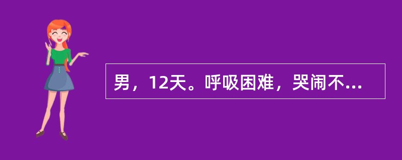 男，12天。呼吸困难，哭闹不止。X线检查如图，最可能的诊断为()<img border="0" style="width: 282px; height: 211px