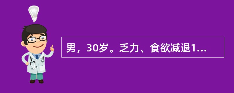 男，30岁。乏力、食欲减退1年。Hb90g/L，MCV110fl，MCH36pg，MCHC330g/L。最可能的病因是