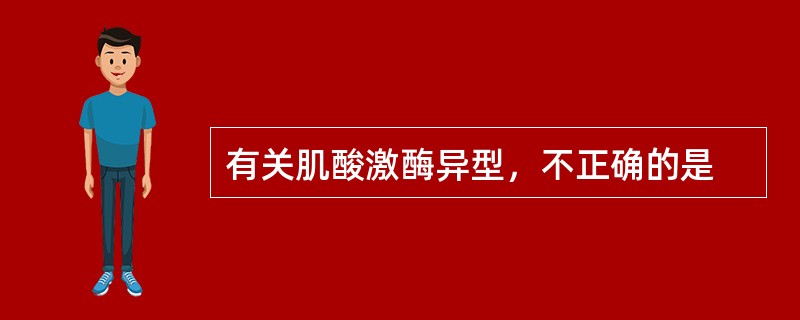 有关肌酸激酶异型，不正确的是