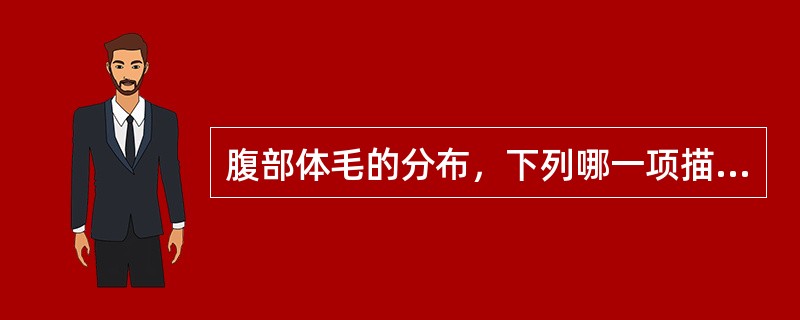 腹部体毛的分布，下列哪一项描述是错误的