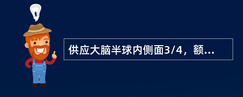 供应大脑半球内侧面3/4，额叶背侧面上1/4区的动脉为()