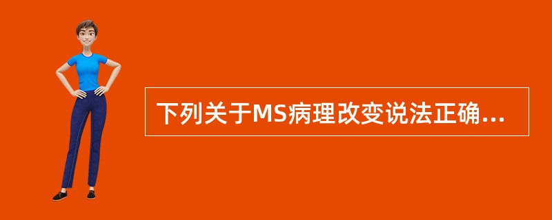 下列关于MS病理改变说法正确的是