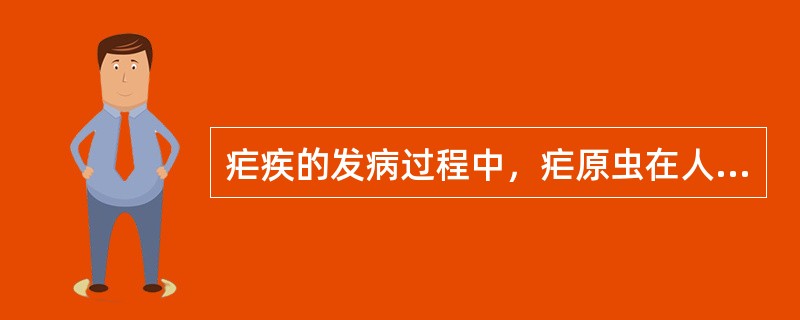 疟疾的发病过程中，疟原虫在人体内分为