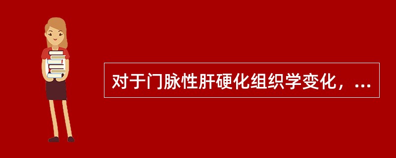 对于门脉性肝硬化组织学变化，下列哪项不正确