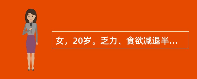 女，20岁。乏力、食欲减退半年。骨髓象示增生明显活跃，红细胞系统明显增生，幼红细胞40%，细胞体积增大，染色质疏松，细胞质量丰富，细胞核发育落后于细胞质。最可能的病因是